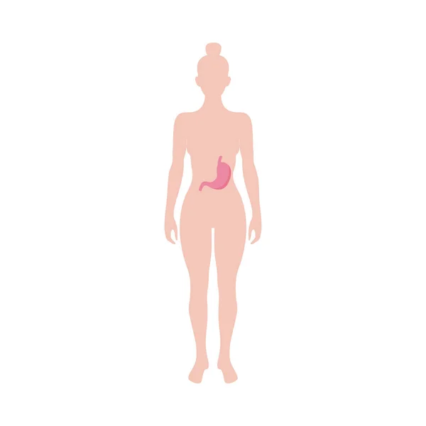 Figura femminile con icona dello stomaco, illustrazione vettoriale piatta isolata . — Vettoriale Stock