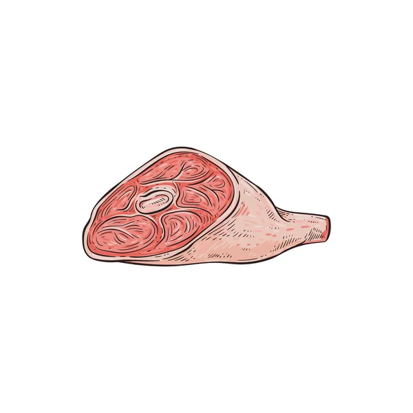 Hand drawn pork ham, beef or lamb meat. — 图库矢量图片