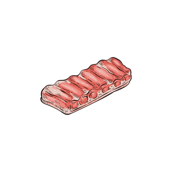 Hand drawn raw pork back ribs for barbecue cooking. — 图库矢量图片