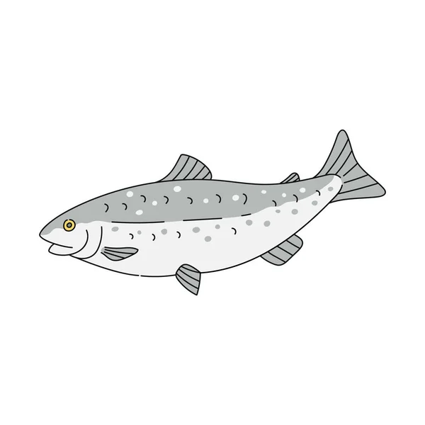 Pez trucha gris dibujo aislado sobre fondo blanco - animal marino dibujado a mano — Vector de stock