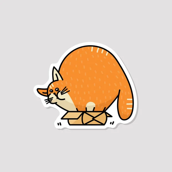 Lindo personaje gato muy gordo escondido en caja pequeña, ilustración vectorial aislado . — Vector de stock