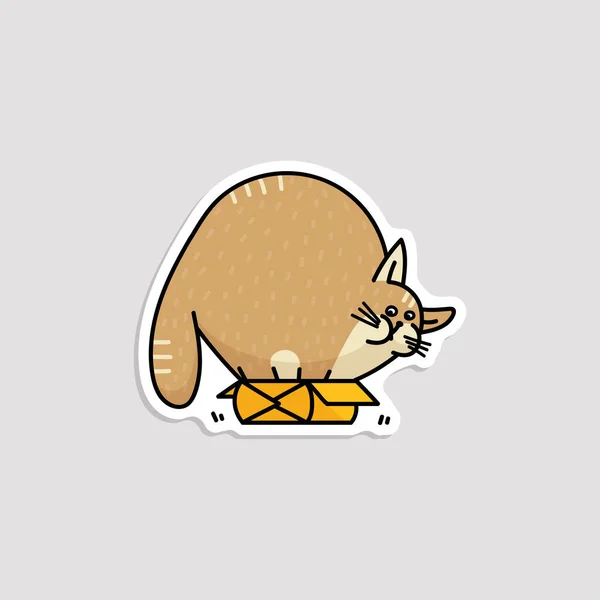 Funny silly fat cat trying to hide in box sketch vector illustration isolated. — 스톡 벡터