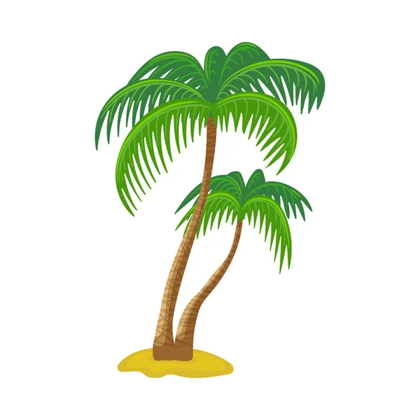 Group of green palm trees, flat cartoon vector illustration isolated on white. — Stock Vector