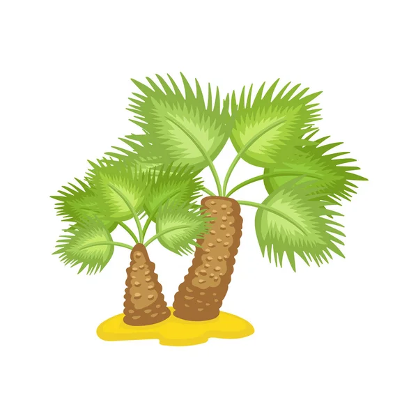 Palmera tropical o africana sobre arena plana ilustración vectorial de dibujos animados aislado . — Vector de stock