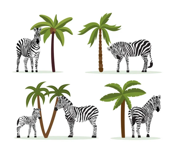 Vahşi yaşam karakterleri içinde bir grup zebra hayvan, izole edilmiş düz vektör çizimi. — Stok Vektör