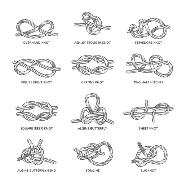 Set of marine rope or cord various knots with names vector illustration isolated. — Stock Vector