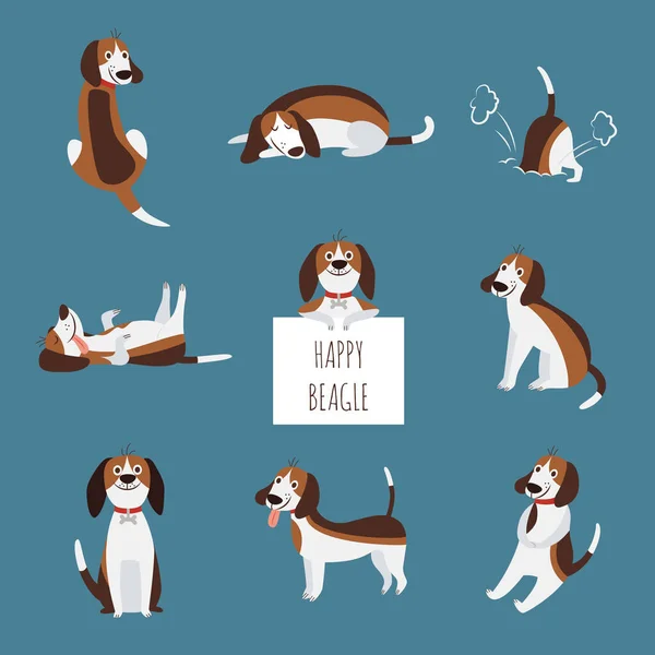 Las diversas poses de lindo perro beagle o cachorro conjunto ilustración plana vector de dibujos animados aislados . — Vector de stock