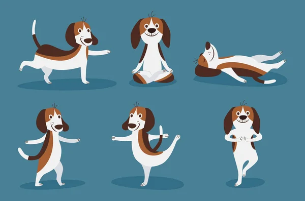 Beagle Hund legen und spielen Set von flachen Cartoon-Vektor-Illustrationen isoliert. — Stockvektor