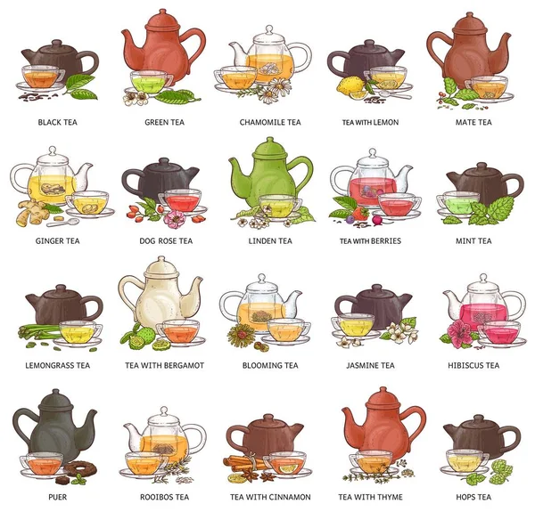 Tipos de té: conjunto de dibujo de taza y tetera aislado sobre fondo blanco . — Vector de stock