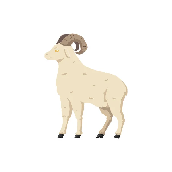 Cartoon ram sheep from side view isolated on white background — Stock Vector