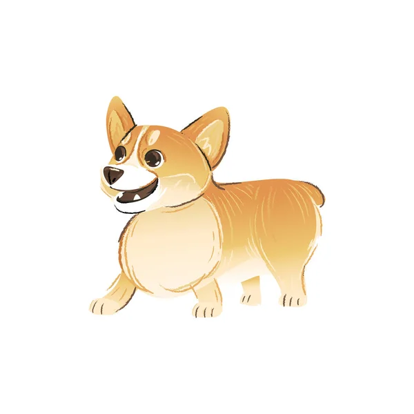 可爱的威尔士科奇彭布罗克犬或小狗，平坦的卡通矢量图形孤立. — 图库矢量图片