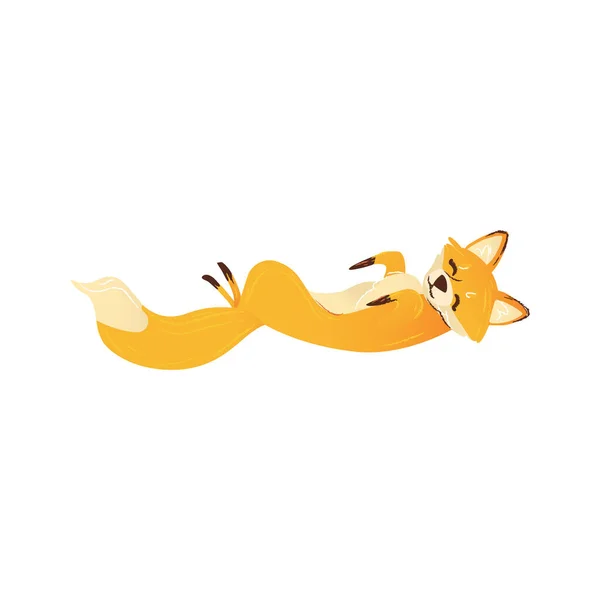 Lindo zorro de dibujos animados durmiendo en su espalda, animal salvaje aislado tomando una siesta en posición adorable — Vector de stock