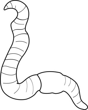 Solucan vektör çizgisi. İzole edilmiş. Stres karşıtı renklendirme sayfası, dövme, poster, baskı, tişört, davetiye, kartlar, afişler, el ilanları, takvimler, vb - çizimler: