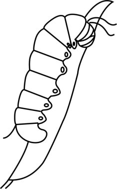 Tırtıl vektör çizgisi. İzole edilmiş. Stres karşıtı renklendirme sayfası, dövme, poster, baskı, tişört, davetiye, kartlar, afişler, el ilanları, takvimler, vb - çizimler: