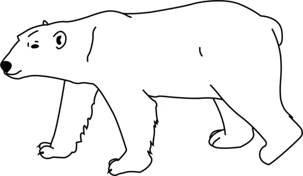 Björnvektorns Kontur Isolerad Skiss För Stress Färg Sida Tatuering Affisch — Stock vektor