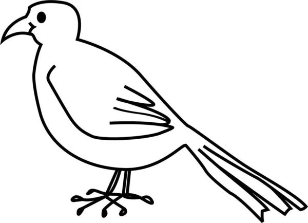 Bird / Pajaro Vector — Stock Vector