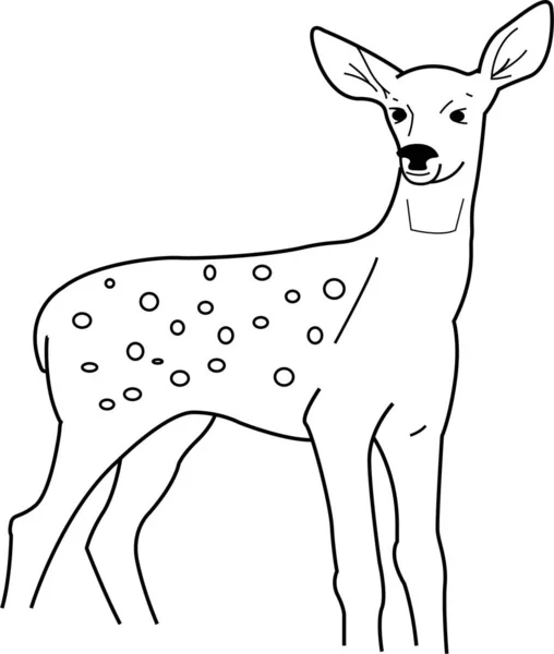 Schéma Vectoriel Cerf Isolé Croquis Pour Coloriage Stress Tatouage Affiche — Image vectorielle