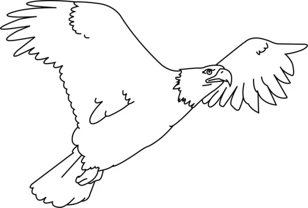 Plan Vectoriel Aigle Isolé Croquis Pour Coloriage Stress Tatouage Affiche — Image vectorielle