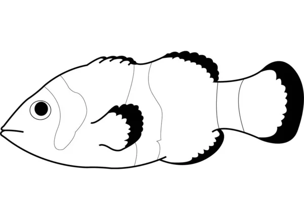 Schéma Vectoriel Poisson Isolé Croquis Pour Coloriage Stress Tatouage Affiche — Image vectorielle