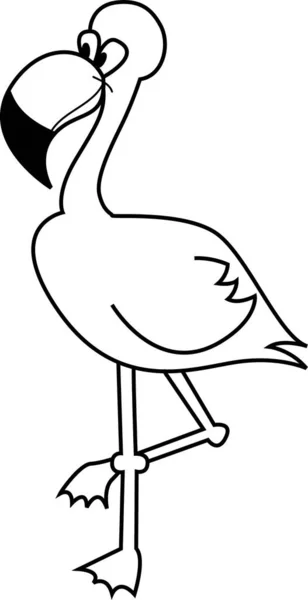 Flamingo vektör