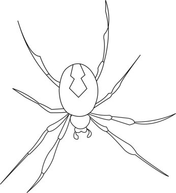 Örümcek vektör çizgisi. İzole edilmiş. Stres karşıtı renklendirme sayfası, dövme, poster, baskı, tişört, davetiye, kartlar, afişler, el ilanları, takvimler, vb - çizimler: