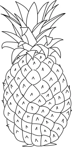 Ananas vektör çizgisi. İzole edilmiş. Stres karşıtı renklendirme sayfası, dövme, poster, baskı, tişört, davetiye, kartlar, afişler, el ilanları, takvimler, vb - çizimler: