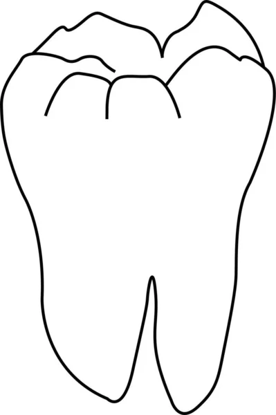 Contour Vectoriel Des Dents Isolé Croquis Pour Coloriage Stress Tatouage — Image vectorielle