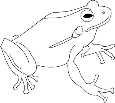 Kurbağa vektör çizgisi. İzole edilmiş. Stres önleyici renklendirme sayfası, dövme, poster, baskı, tişört, davetiye, kartlar, afişler, el ilanları, takvimler, vb - çizimler: