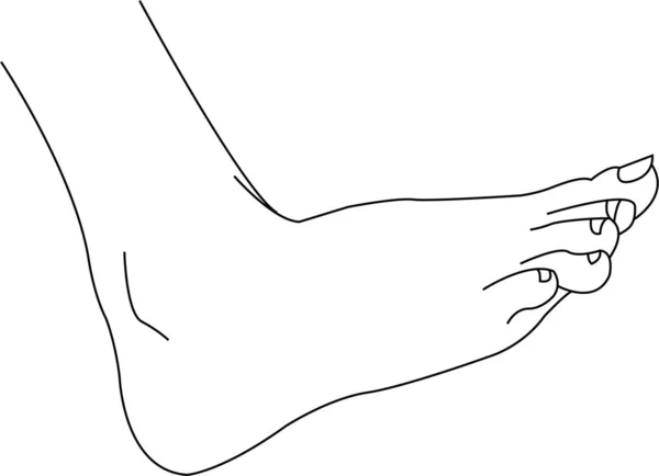 Noha Vektorový Obrys Izolovaný Skica Pro Antistresové Zbarvení Stránky Tetování — Stockový vektor