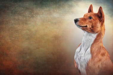 Çizim köpek doğurmak alçaklık