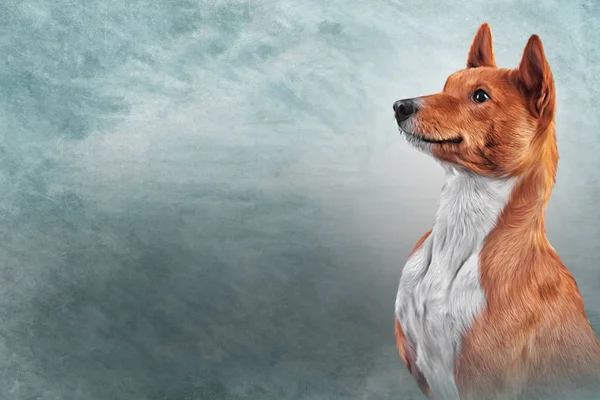 図面の犬バセンジー — ストック写真