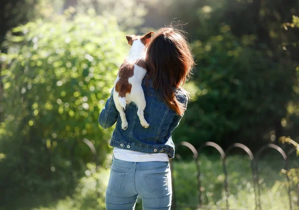 Девушка с собакой на руках. Маленький Джек Рассел Терьер — стоковое фото