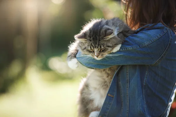 Chica sosteniendo un gato al aire libre — Foto de Stock