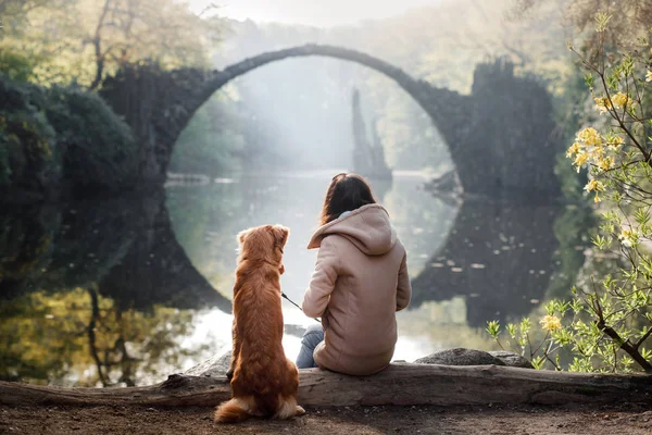 Девушка Собакой Мосту Новый Шотландский Утиный Ретривер Мосту Парке — стоковое фото