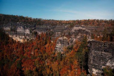 Dağ tarafı bir görüntü. Sonbaharda ağaçlar. Yamaçta orman