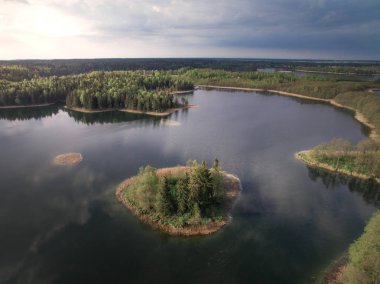 Nehir ve orman bir yükseklikten görünümünü. Uçan bir yaz gününde