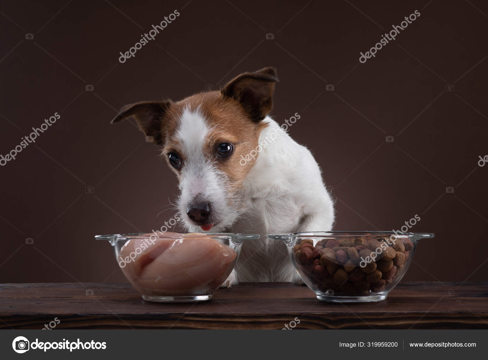 what does a dog naturally eat