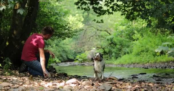 En man leker med en hund nära vattnet. Killen kastar en sten i sin australiska herdes flod. — Stockvideo