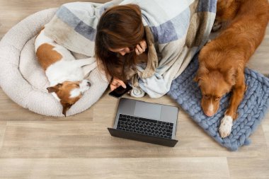 Evde dizüstü bilgisayarda çalışan iki köpek ve bir kız. Nova Scotia Duck Tolling Retriever ve Jack Russell Terrier.