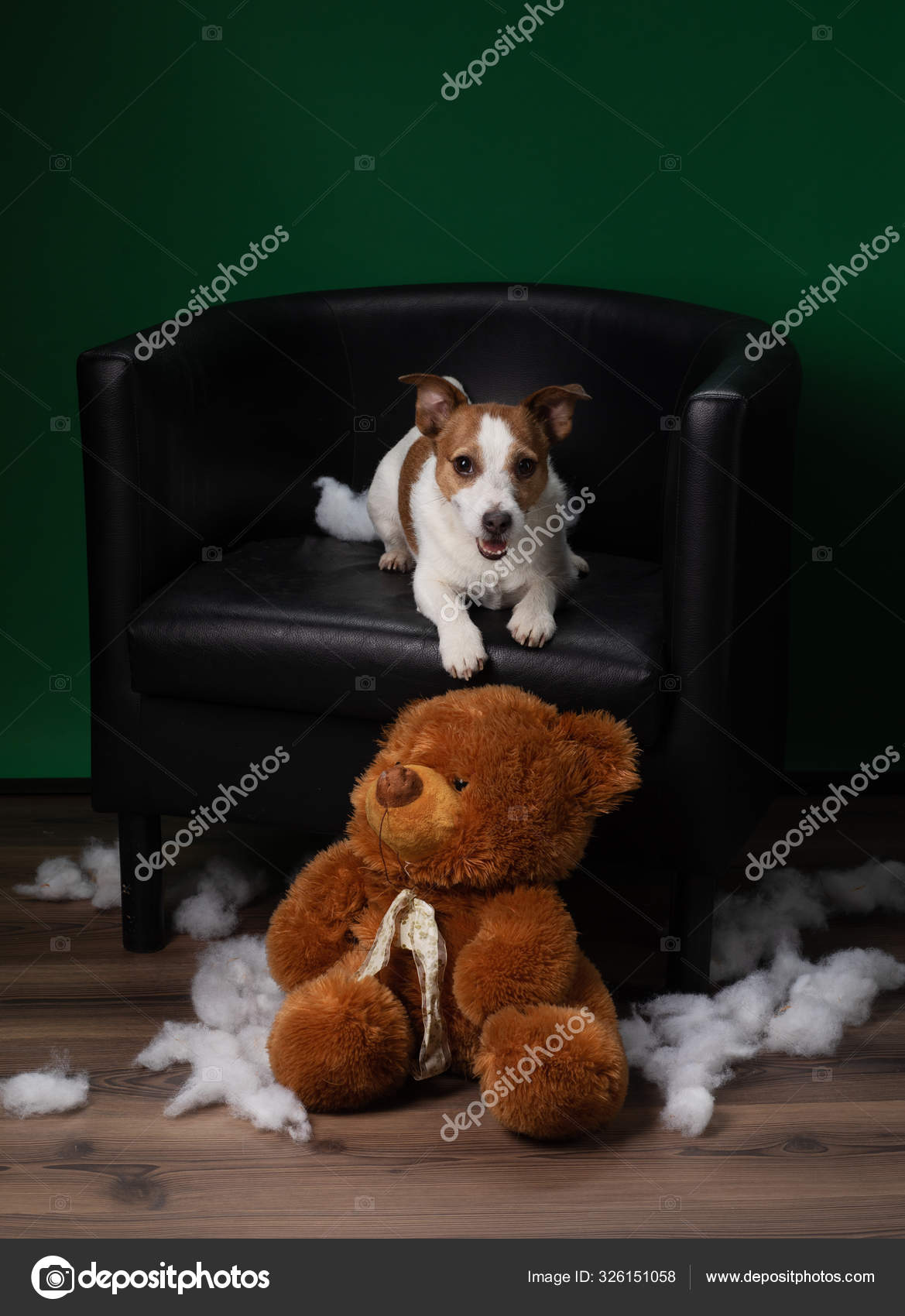 jack russell soft toy dog
