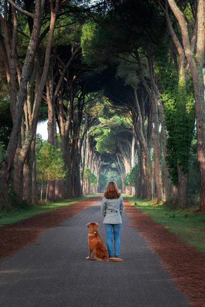 Девушка с собакой гуляет по парку. Прекрасная тропа в Италии. Новая Шотландия Дак Толлинг ретривер и его владелец — стоковое фото