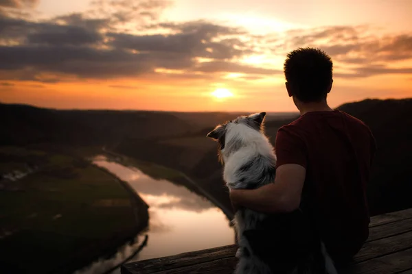 Een Man Met Een Hond Bij Zonsondergang Lopen Met Een — Stockfoto