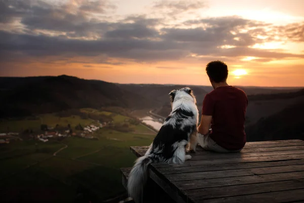 Een Man Met Een Hond Bij Zonsondergang Lopen Met Een — Stockfoto