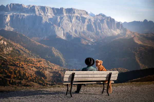 Ein Mann mit Hund sitzt auf einer Bank und blickt in die Berge. Reisen mit einem Haustier. Dolomiten Alpen. Wandern, entspannen. — Stockfoto