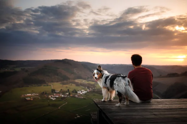 Ein Mann Mit Hund Bei Sonnenuntergang Spaziergang Mit Einem Haustier — Stockfoto