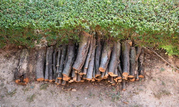 Brennholzstapel. nach oben — Stockfoto