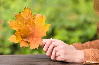Eller güzellik kadın holding sonbahar yaprakları