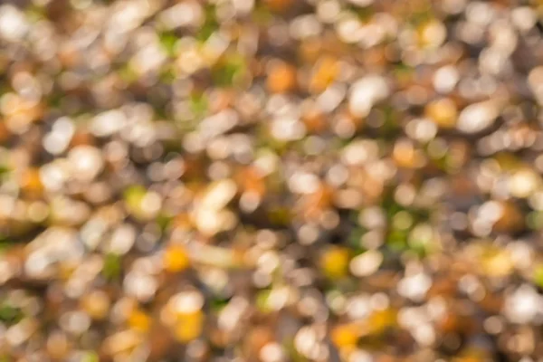 Schoonheid kleurrijke herfst bokeh — Stockfoto