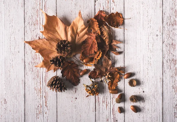 Herfst bladeren en eikels op witte houten achtergrond — Stockfoto