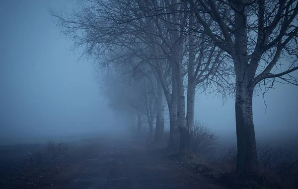 Mystische Fantasy-Szene an einem nebligen Tag — Stockfoto